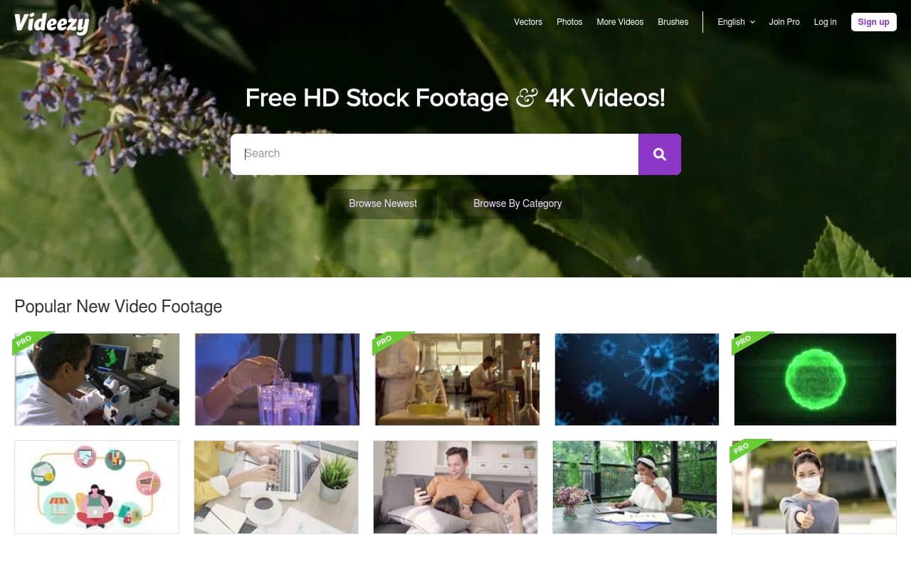 Videezy — screenshot